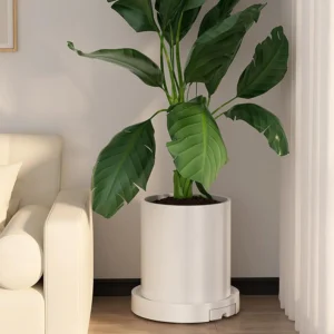 CARLA HOME Rolling Plant Stand with 360° Wheels 26cm Heavy Duty Plant Caddy Water Tray 75kg