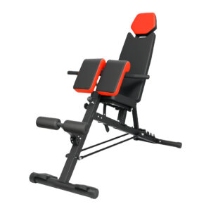 Centra Multi-Position Adjustable Weight Bench – 450 kg Static Capacity